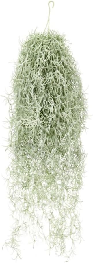 Air Plant Tillandsia - 人工植毛ティランジアエアプランツ 31 インチ スパニッシュモス フェイクグリーン アルゼンチンつる