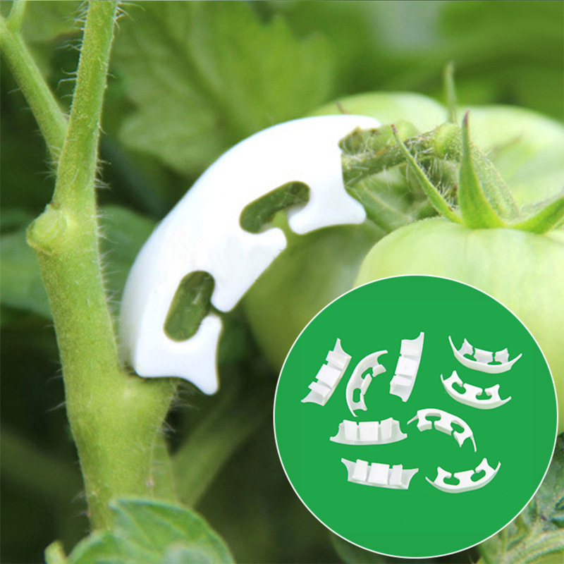 Plant Parent Tools - さまざまな茎を持つ保持クリップ,庭の植物を固定するためのバックル留めツール,50/100個