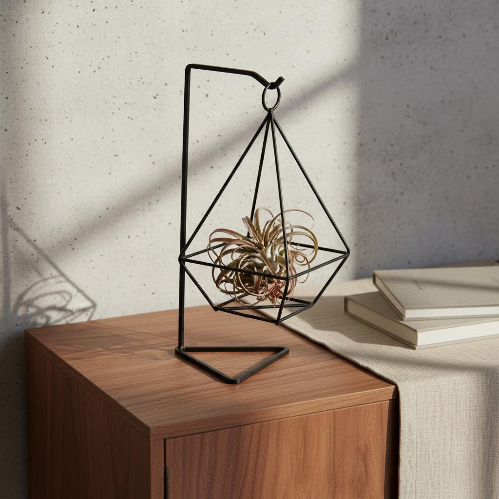 Air Plant Tillandsia - 幾何学模様のエアプランツホルダー ミニマリストデザイン エアプランツホルダー 幾何学模様の鉄製スタンド 安定したベース アイアンアート