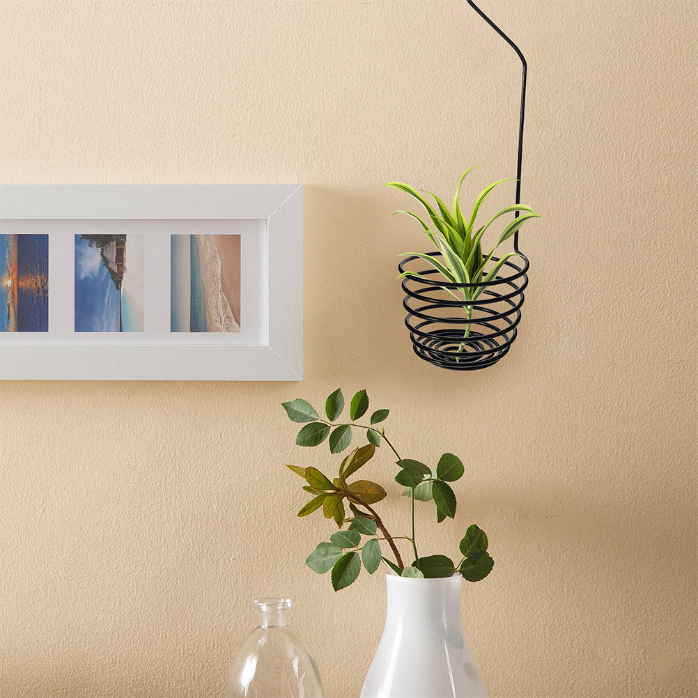 3 個のエアプランツフックスパイラルメタルホルダー屋内屋外吊 - Air Plant Tillandsia のレビューと価格