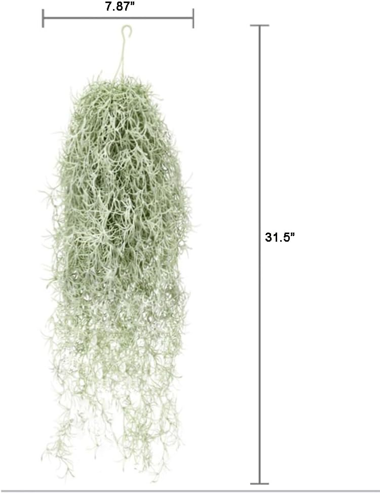 人工植毛ティランジアエアプランツ 31 インチ スパニッシュ - Air Plant Tillandsia のレビューと価格