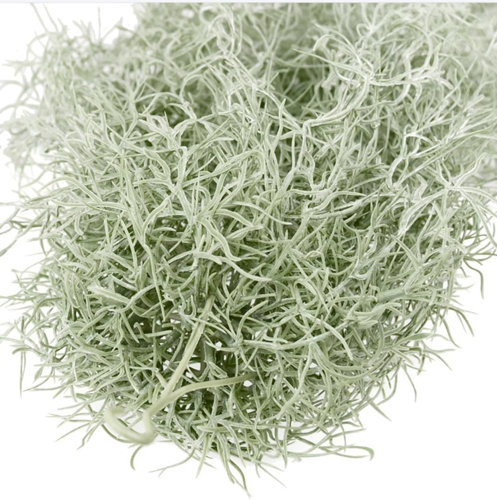 人工植毛ティランジアエアプランツ 31 インチ スパニッシュ - Air Plant Tillandsia のレビューと価格