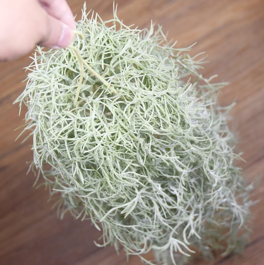 人工植毛ティランジアエアプランツ 31 インチ スパニッシュ - Air Plant Tillandsia のレビューと価格