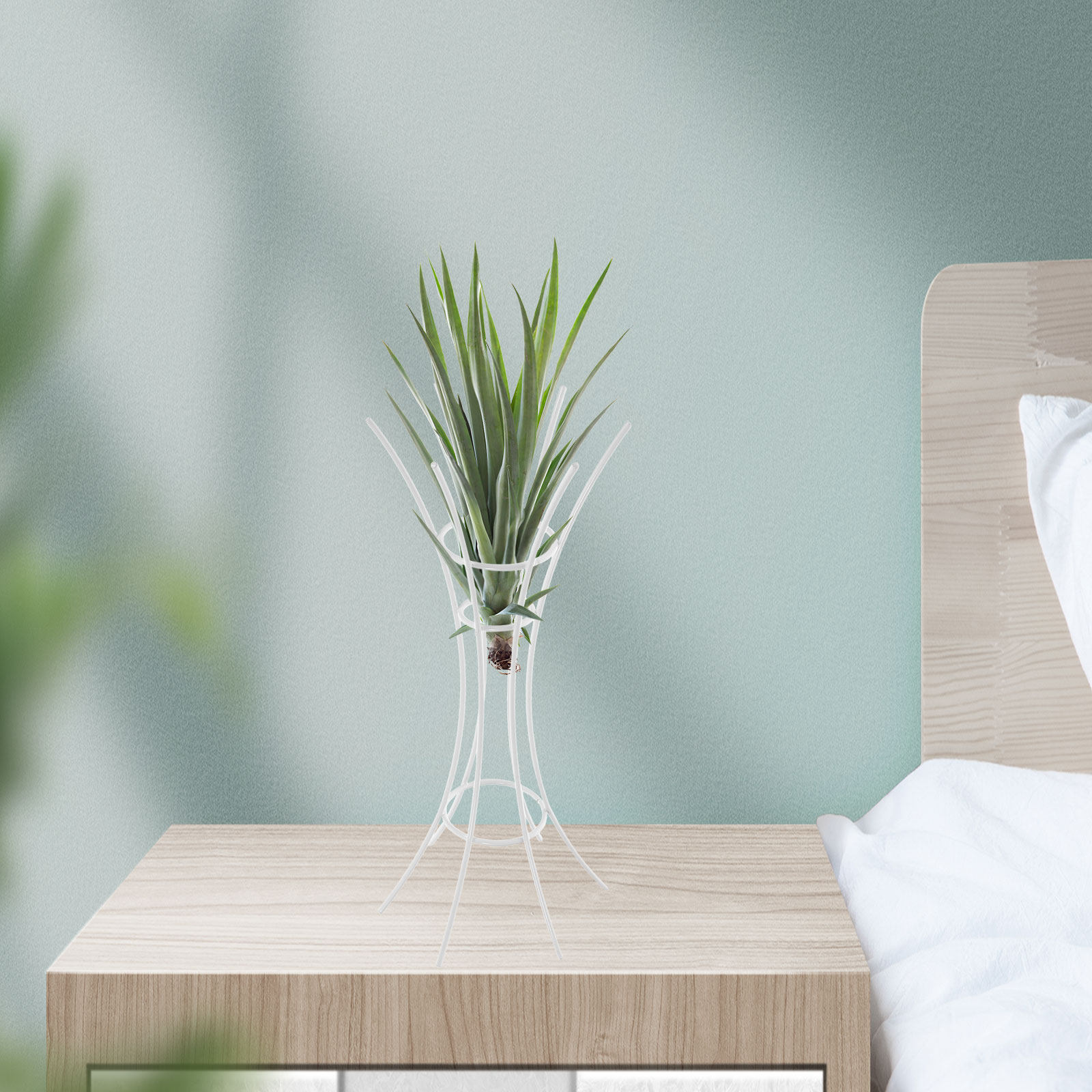 エアプランツスタンドホルダー 金属製デスクトップディスプレイ - Air Plant Tillandsia のレビューと価格