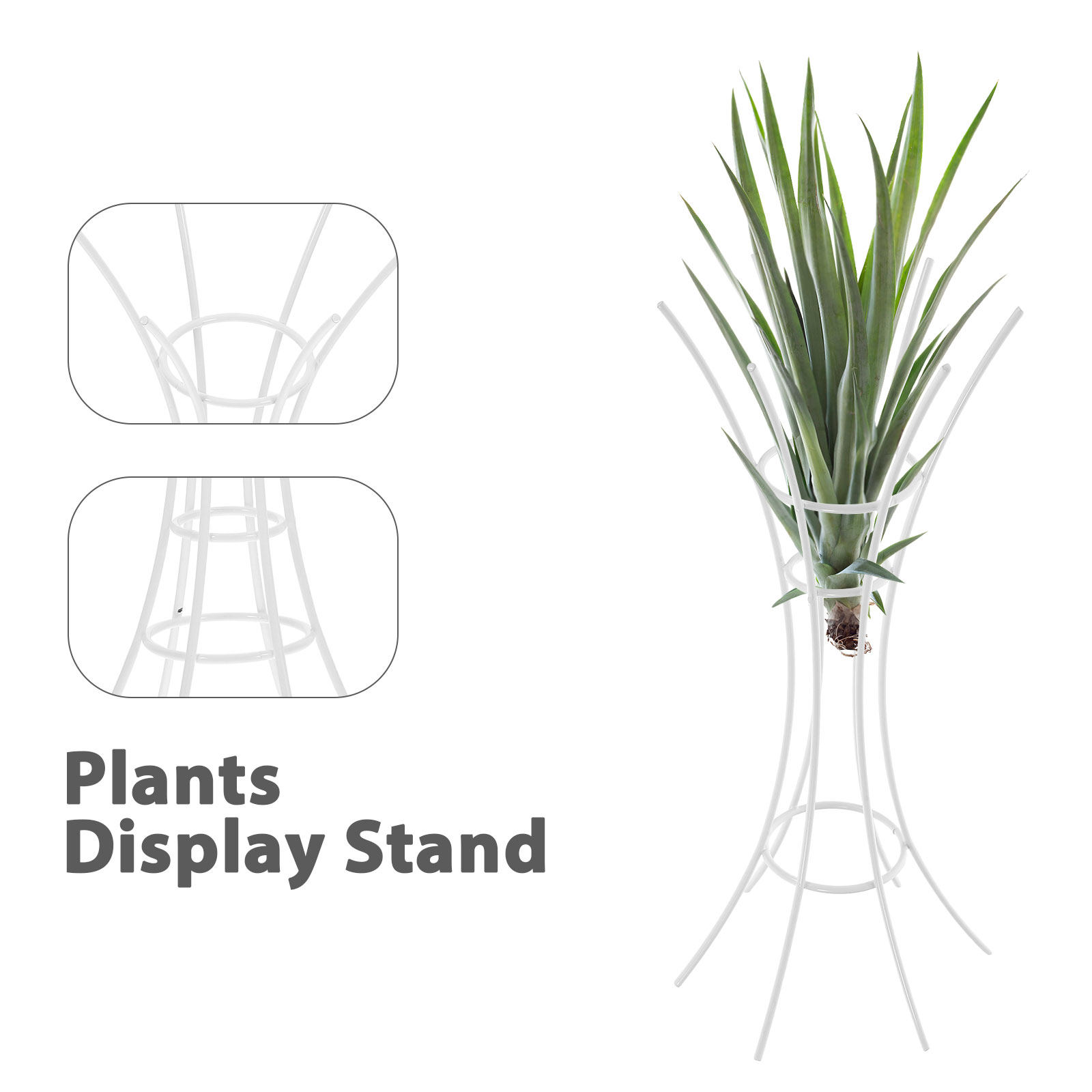 エアプランツスタンドホルダー 金属製デスクトップディスプレイ - Air Plant Tillandsia のレビューと価格