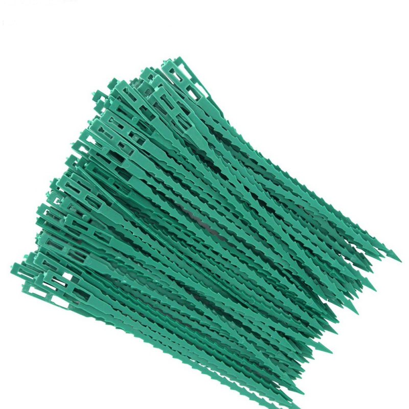 50/100 個再利用可能な庭のケーブルタイ植物サポート低木 - Plant Parent Tools のレビューと価格