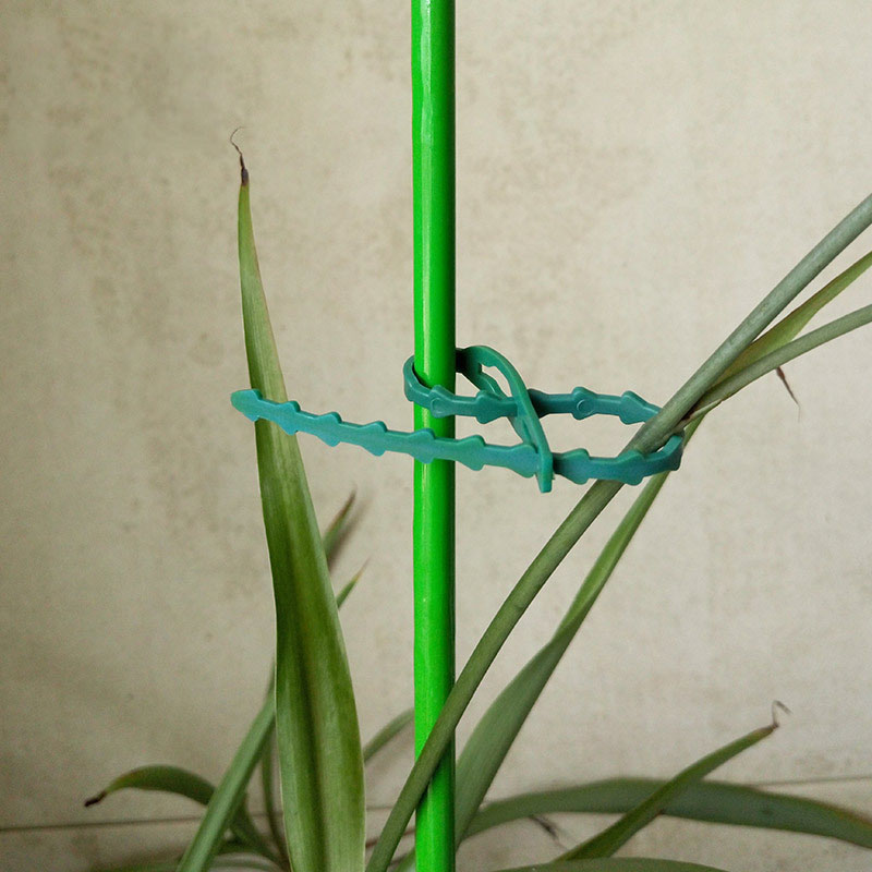 50/100 個再利用可能な庭のケーブルタイ植物サポート低木 - Plant Parent Tools のレビューと価格