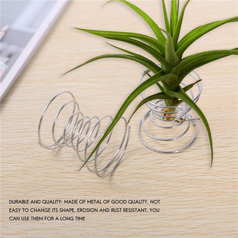 売れ筋商品-6個入りエアプランツスタンド、エアプランツ容器、 - Air Plant Tillandsia のレビューと価格
