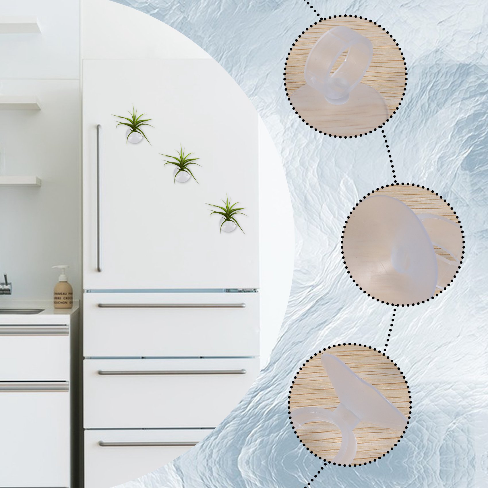 AC76-20個 エアプランツホルダー、植物鉢ティランジアホ - Air Plant Tillandsia のレビューと価格
