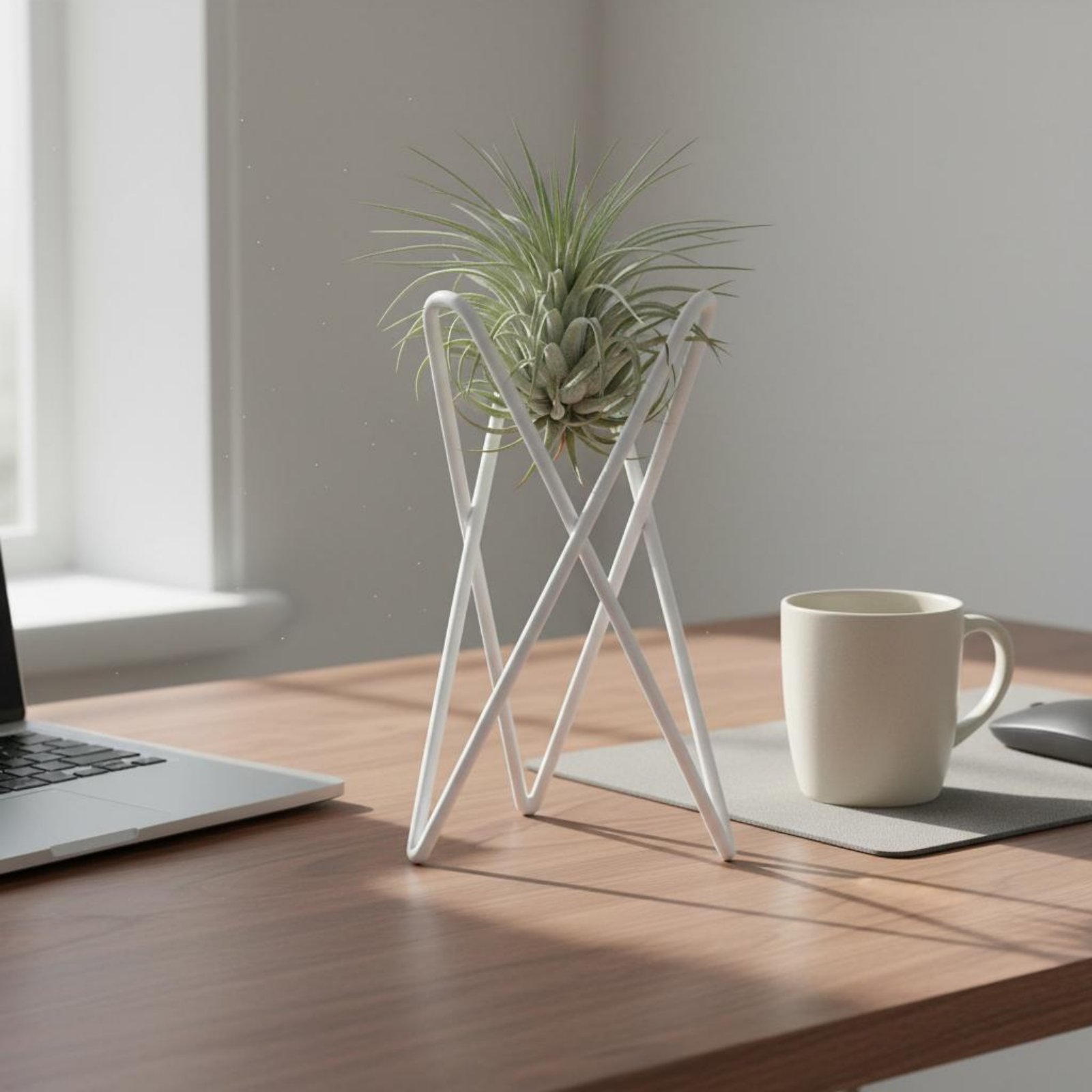 エアプランツスタンド ミニマリストデザイン エアプランツホル - Air Plant Tillandsia のレビューと価格
