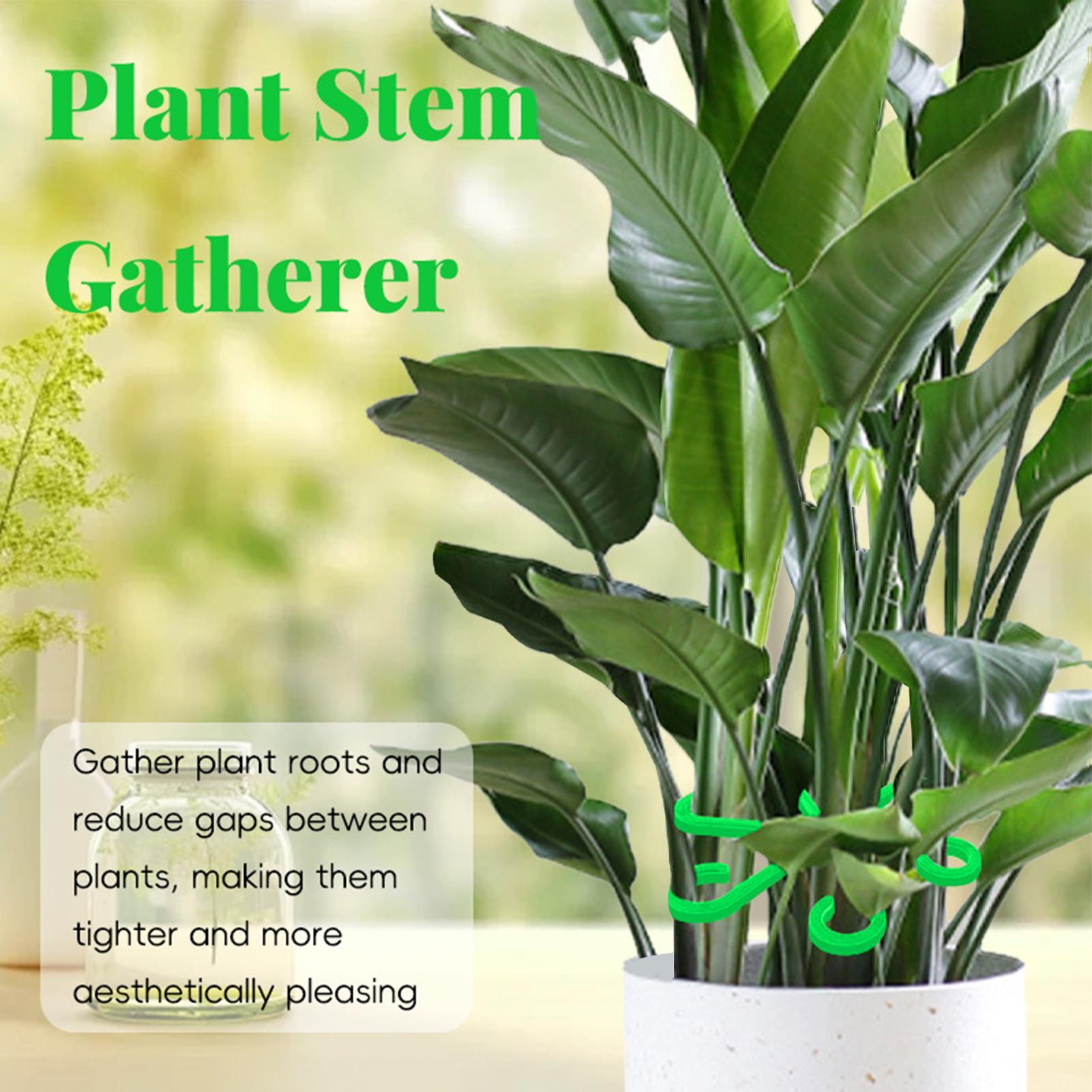 4個入り植物固定クリップ、植物のつる性サポートフレーム、花茎 - Plant Parent Tools のレビューと価格