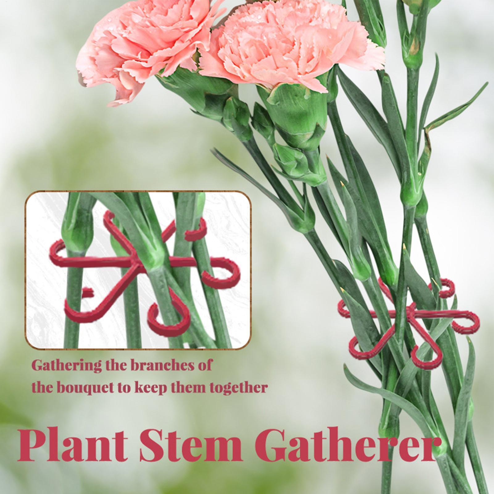 4個入り植物固定クリップ、植物のつる性サポートフレーム、花茎 - Plant Parent Tools のレビューと価格