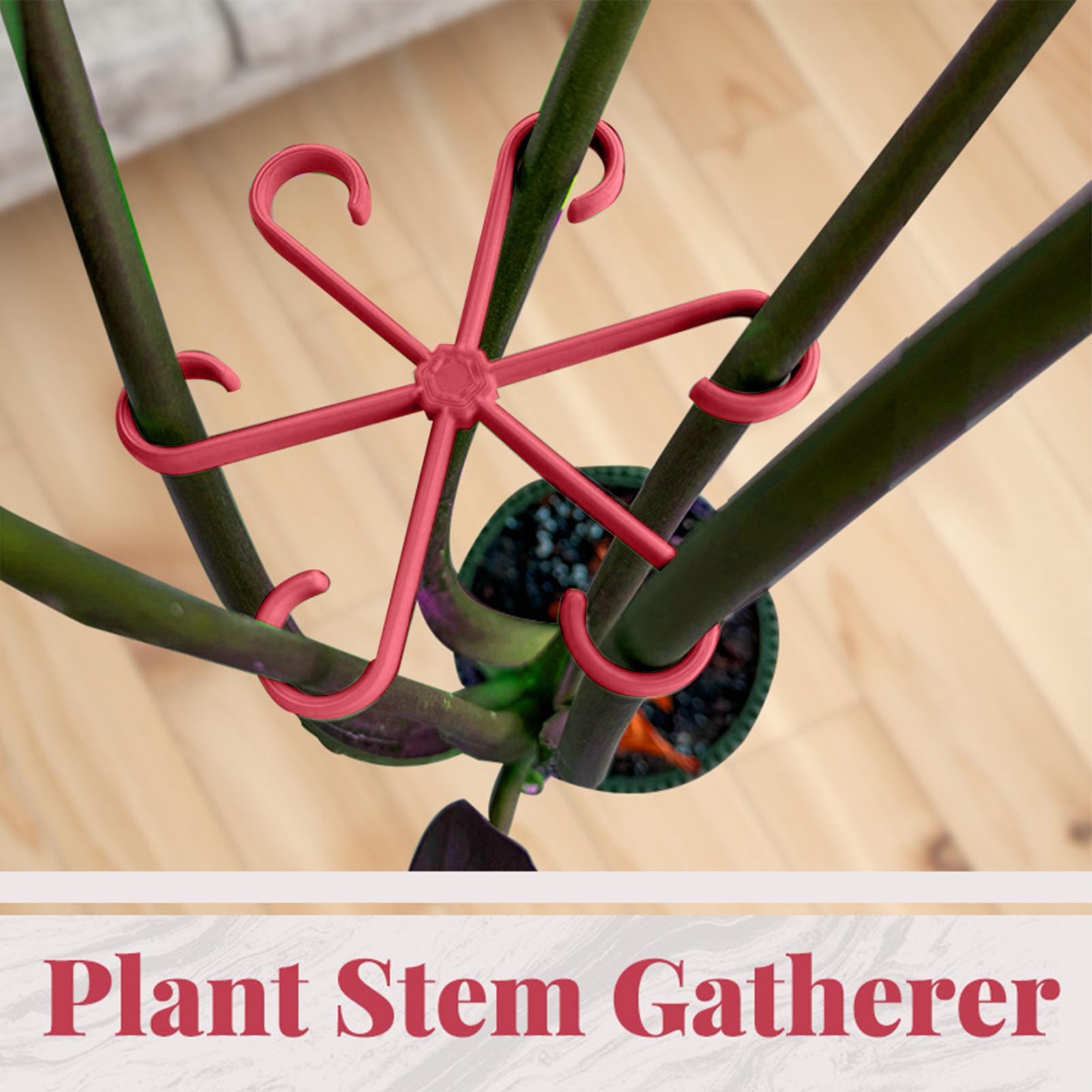 4個入り植物固定クリップ、植物のつる性サポートフレーム、花茎 - Plant Parent Tools のレビューと価格