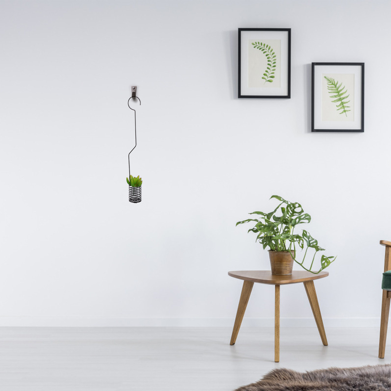 装飾用鉄製エアプランツホルダー（ティランジア用吊り下げフック - Air Plant Tillandsia のレビューと価格