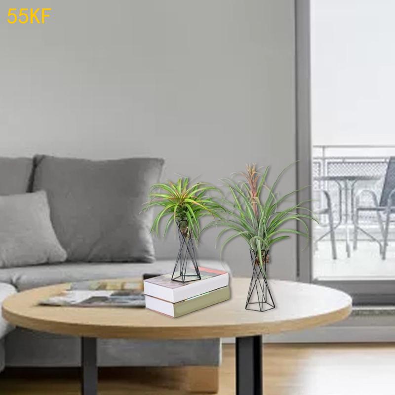 55kf北欧航空工場ホルダー金属製の植木鉢スタンド幾何鉄ティ - Air Plant Tillandsia のレビューと価格