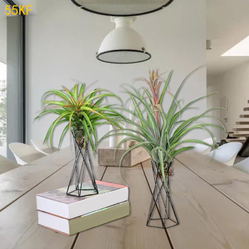 55kf北欧航空工場ホルダー金属製の植木鉢スタンド幾何鉄ティ - Air Plant Tillandsia のレビューと価格