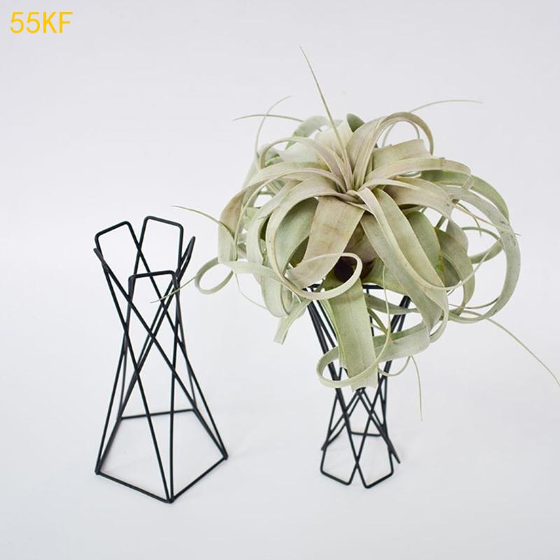 55kf北欧航空工場ホルダー金属製の植木鉢スタンド幾何鉄ティ - Air Plant Tillandsia のレビューと価格