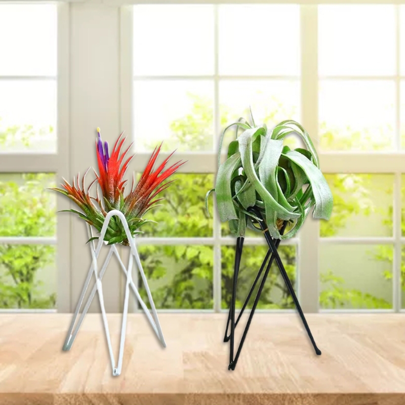 エアプランツホルダー金属植木鉢スタンド幾何鉄ティランジアディ - Air Plant Tillandsia のレビューと価格