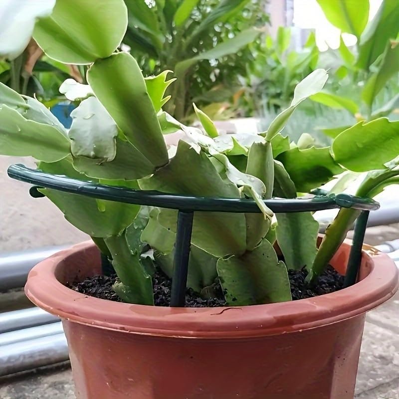 30-1 個プラスチック植物サポート半円形パイルフレーム固定 - Plant Parent Tools のレビューと価格