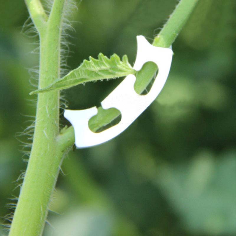 さまざまな茎を持つ保持クリップ,庭の植物を固定するためのバッ - Plant Parent Tools のレビューと価格