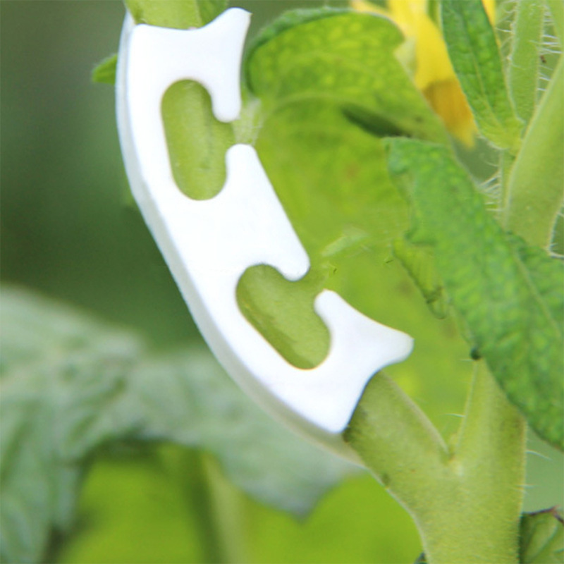 さまざまな茎を持つ保持クリップ,庭の植物を固定するためのバッ - Plant Parent Tools のレビューと価格