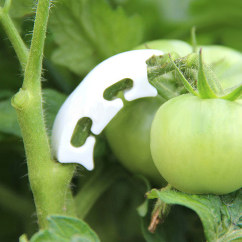 さまざまな茎を持つ保持クリップ,庭の植物を固定するためのバッ - Plant Parent Tools のレビューと価格