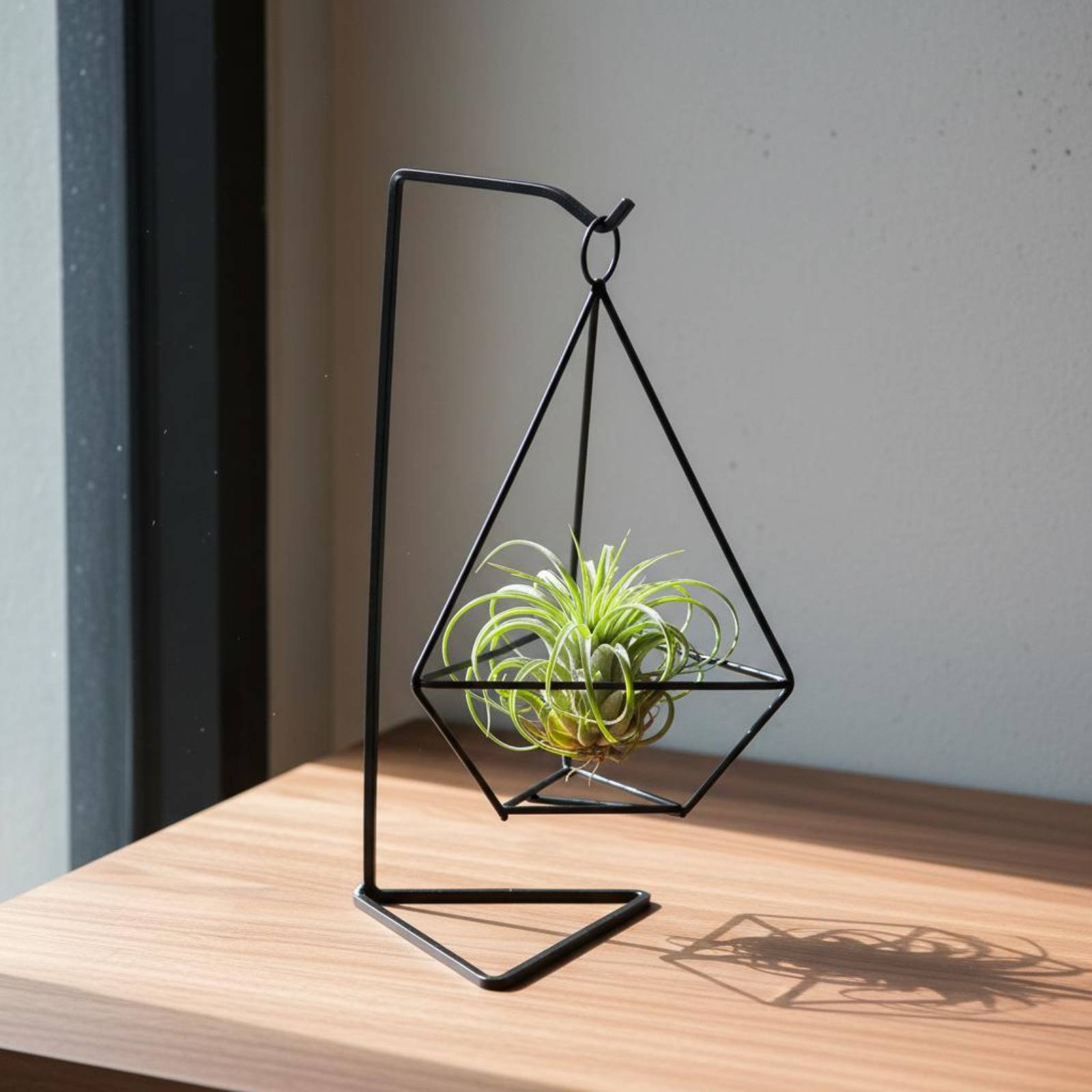 幾何学模様のエアプランツホルダー ミニマリストデザイン エア - Air Plant Tillandsia のレビューと価格