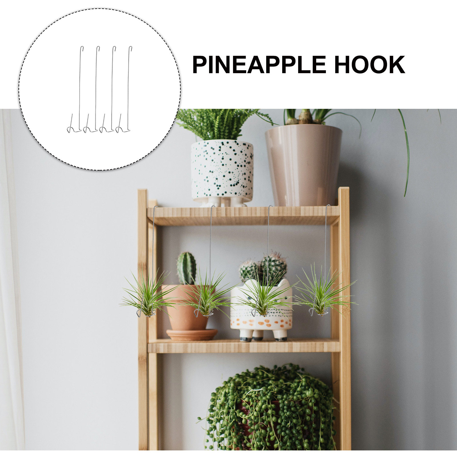 4 個のステンレス鋼エアプランツフック壁天井ガーデンハンギン - Air Plant Tillandsia のレビューと価格