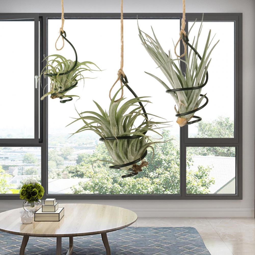 植物スタンド メタル製 6個セット メタル製エアプランツホル - Air Plant Tillandsia のレビューと価格