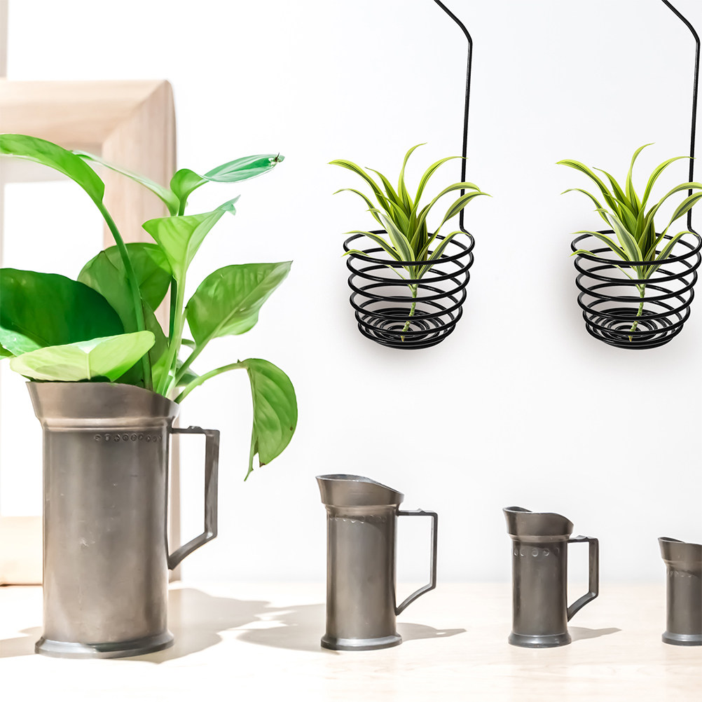 3個セットの頑丈な金属製スパイラルエアプランツフック、壁掛け - Air Plant Tillandsia のレビューと価格