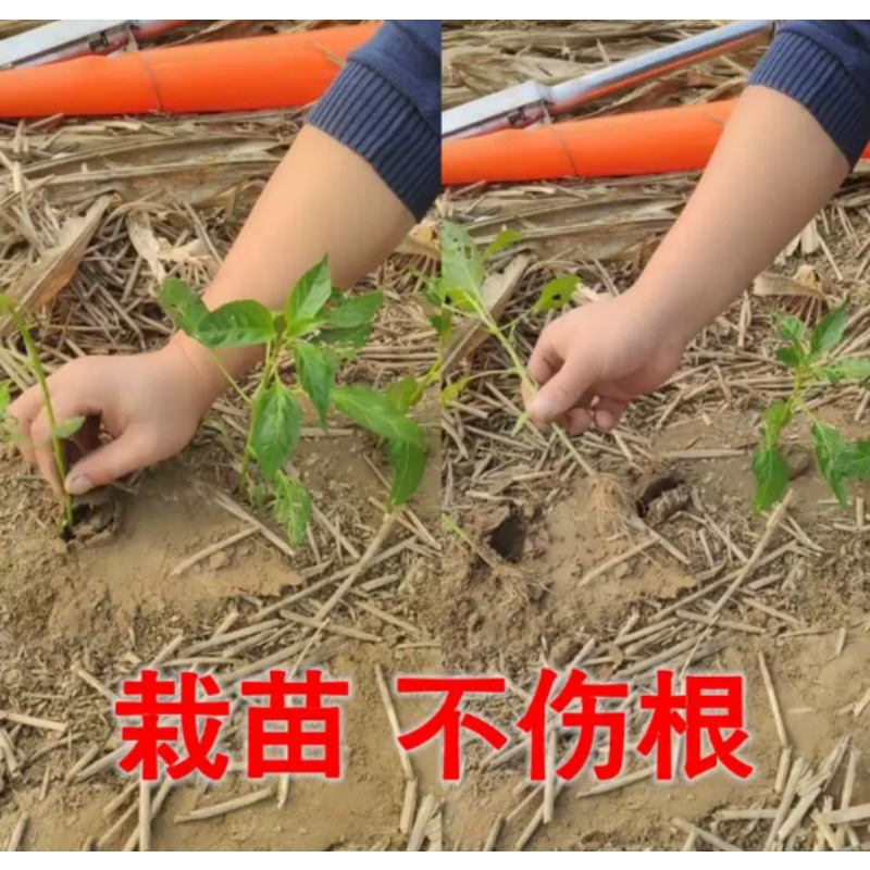 農業用苗移植機、トマトやピーマンの苗植え用園芸植栽ツール - Plant Parent Tools のレビューと価格