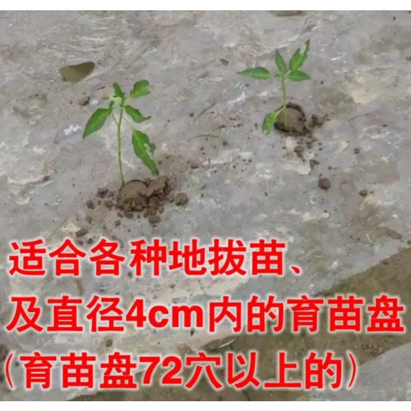 農業用苗移植機、トマトやピーマンの苗植え用園芸植栽ツール - Plant Parent Tools のレビューと価格