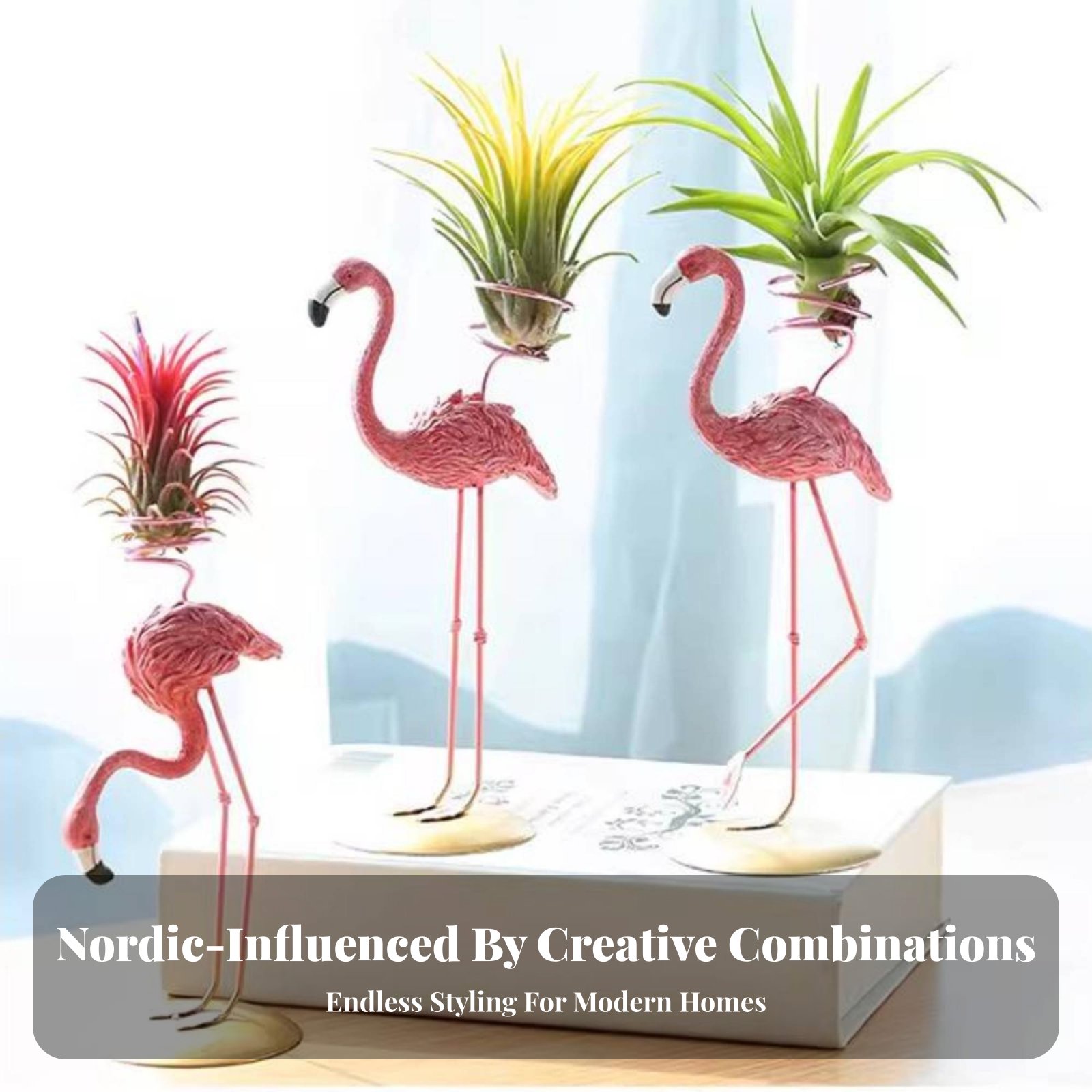 幾何学模様のティランジアホルダー 北欧＆デザインの幾何学模様 - Air Plant Tillandsia のレビューと価格